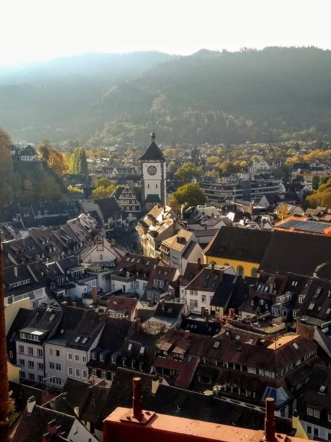 Luxus Apartment Ludwigxv Friburgo in Brisgovia Esterno foto